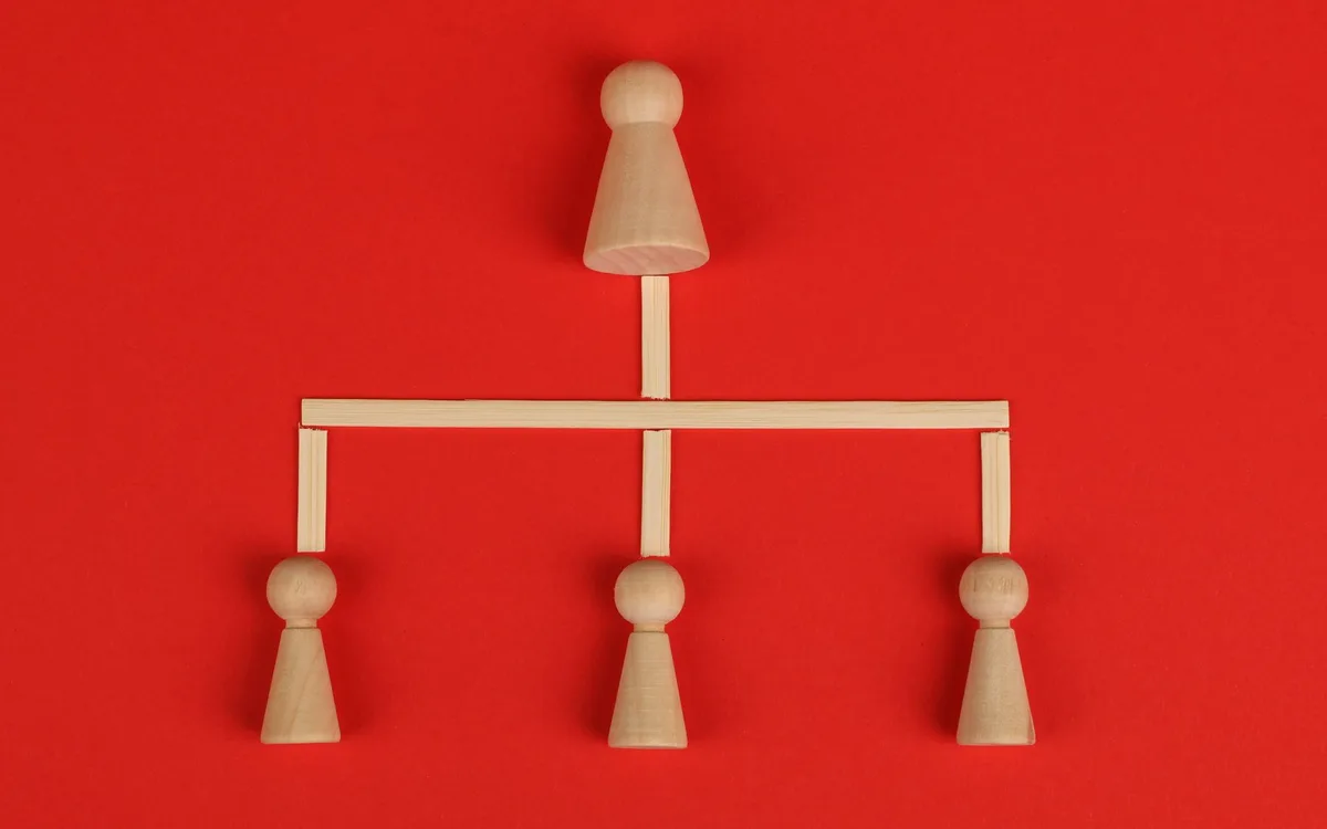 Hierarchia żerowania: kto ustępuje komu i dlaczego