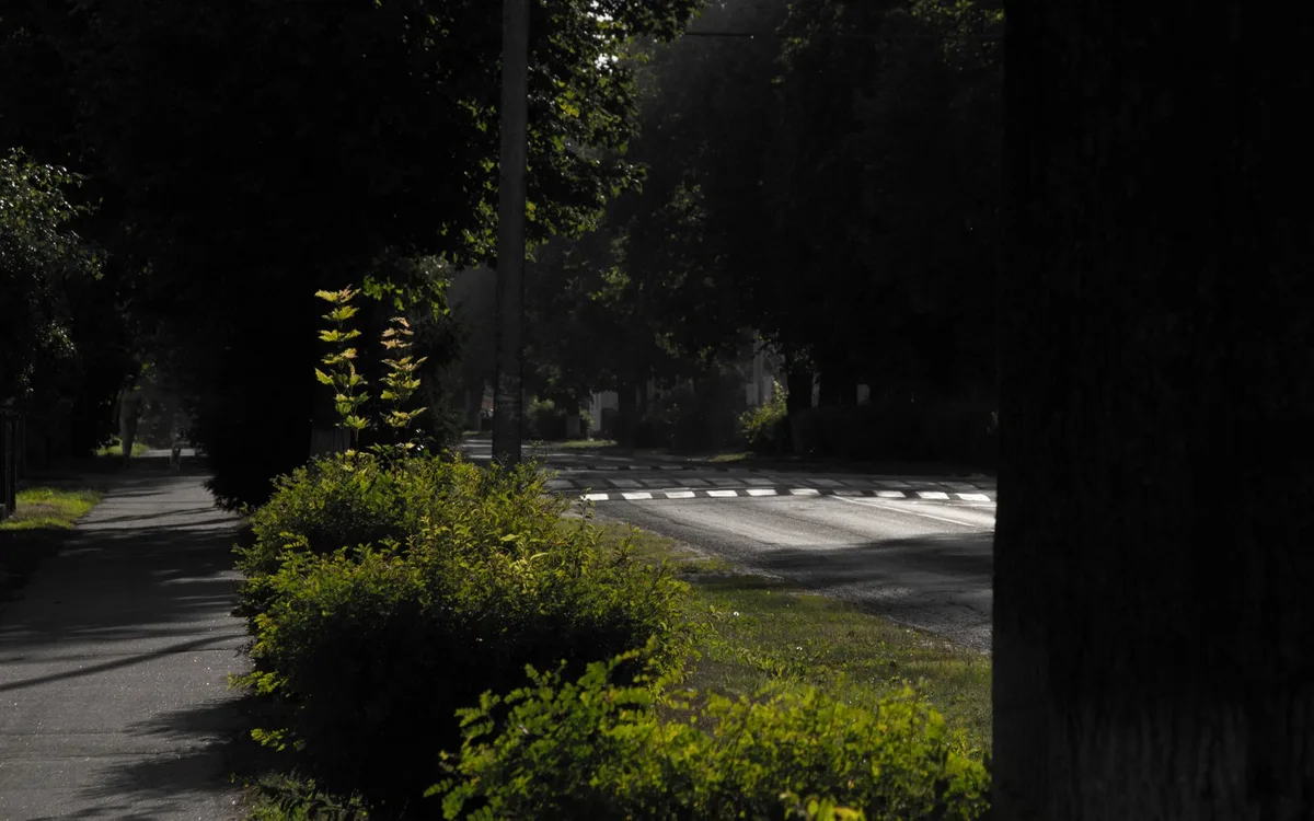 Lato: podloty, cień i mniej aktywne ptaki