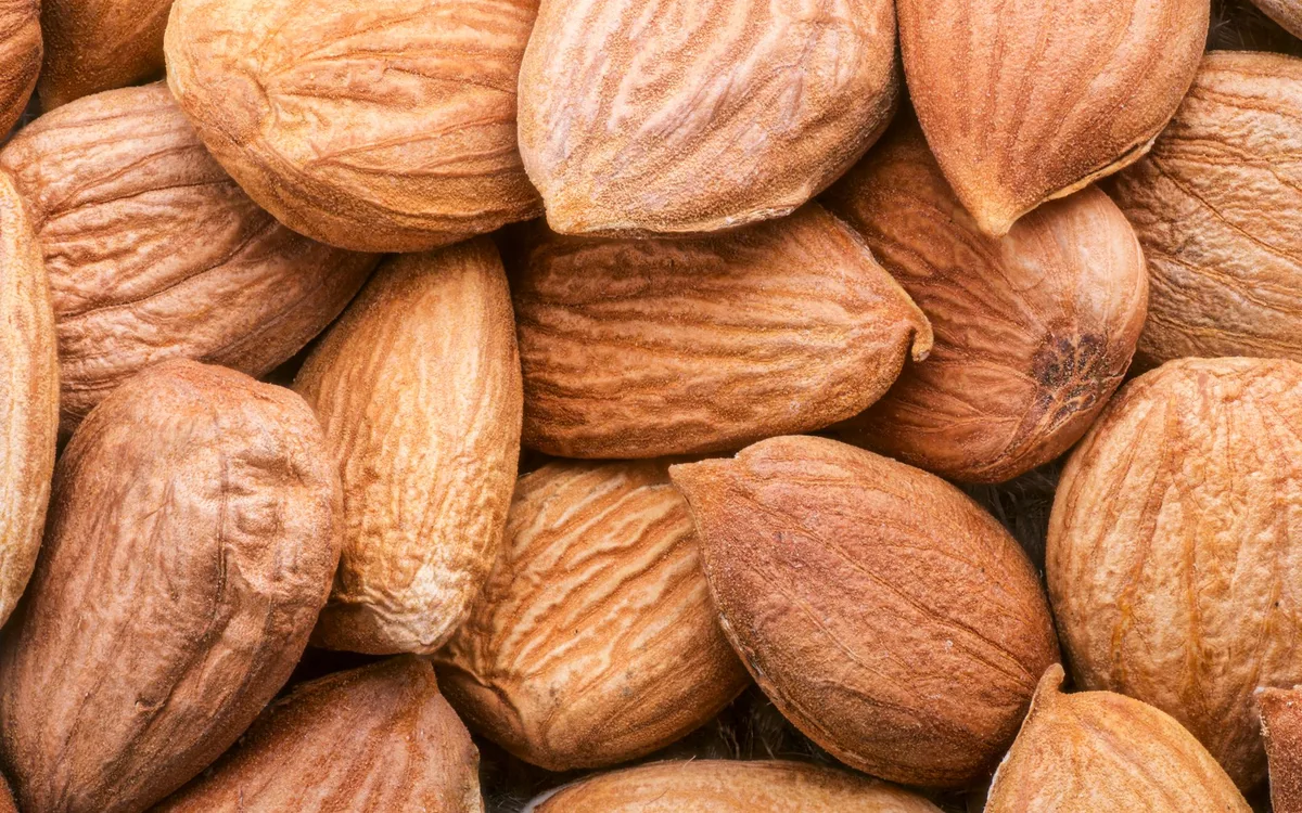 Nasiona i owoce: naturalny karmnik od lata do zimy
