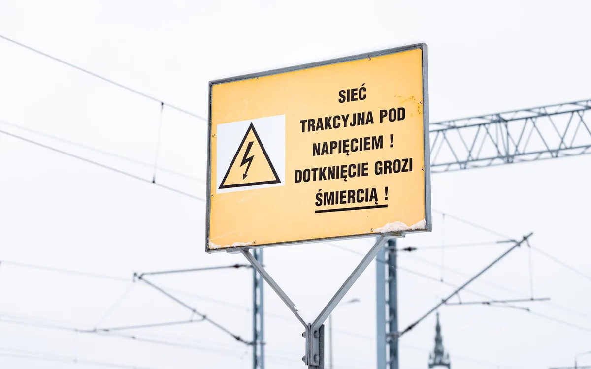 Weryfikacja głosu: nie każdy wykryty dźwięk należy do widzianego ptaka
