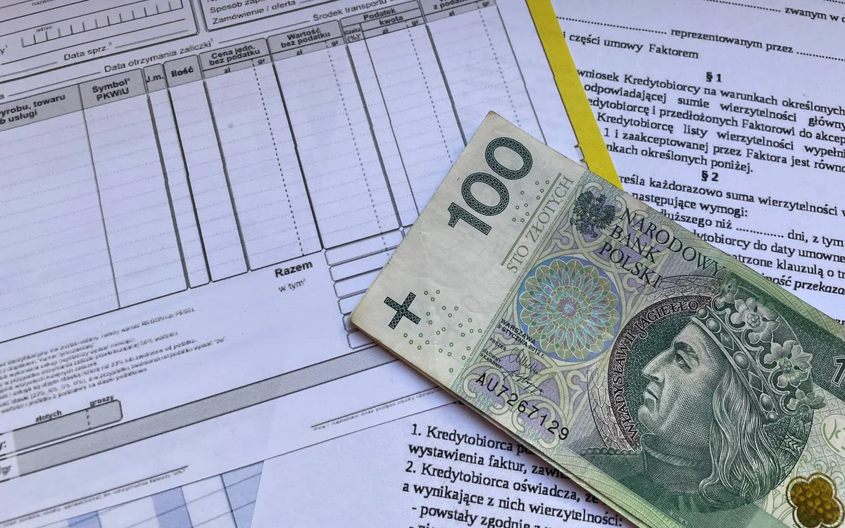 Dokumentacja, ekspertyza i komunikacja z wykonawcą