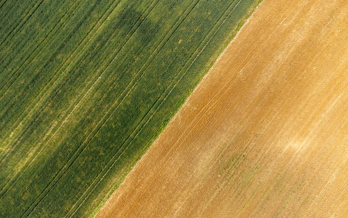 Granice terenu i podział na siedliska
