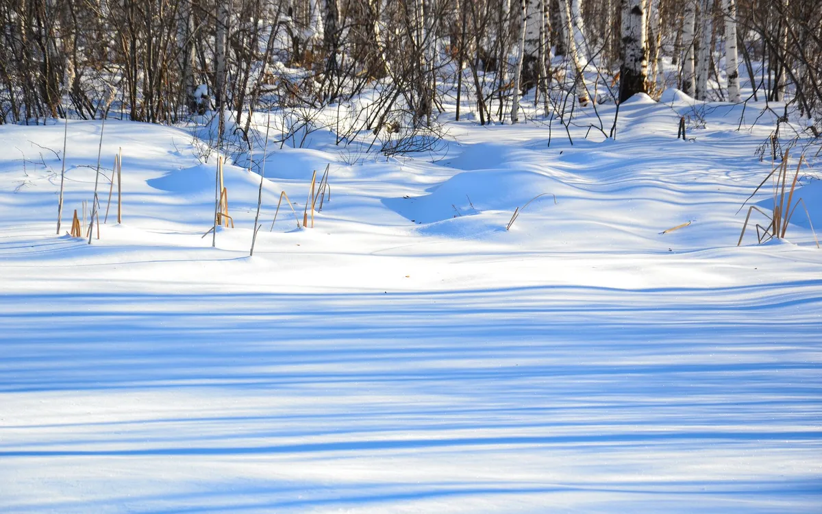 Światło, temperatura i cisza