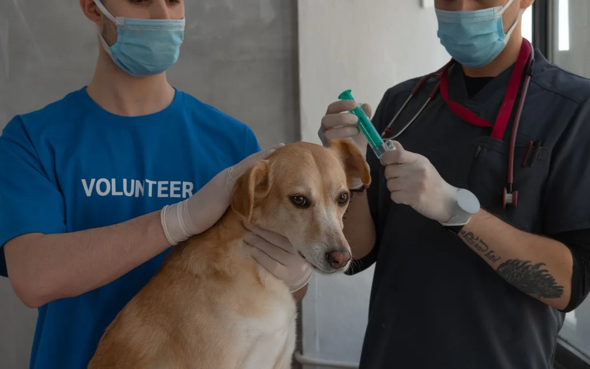 Humanitarne ograniczanie punktów odpoczynku