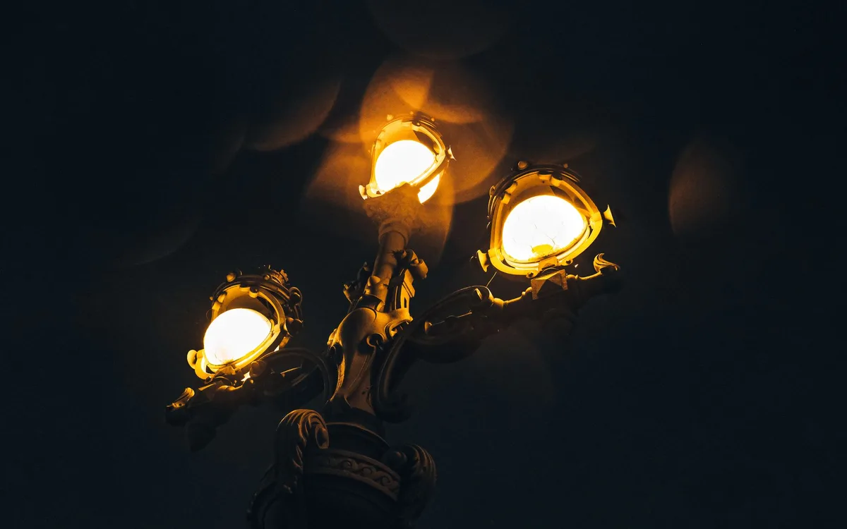 Światło nocne i migracje