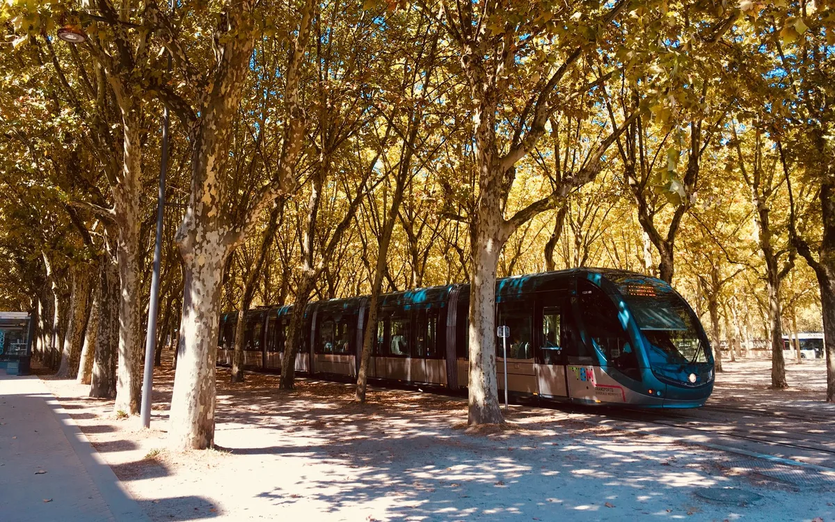 Ślad transportu: jak ocenić go bez kalkulatora LCA