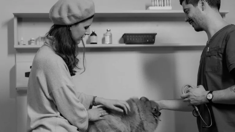 Ptak siedzi nieruchomo - szok, choroba czy normalny odpoczynek